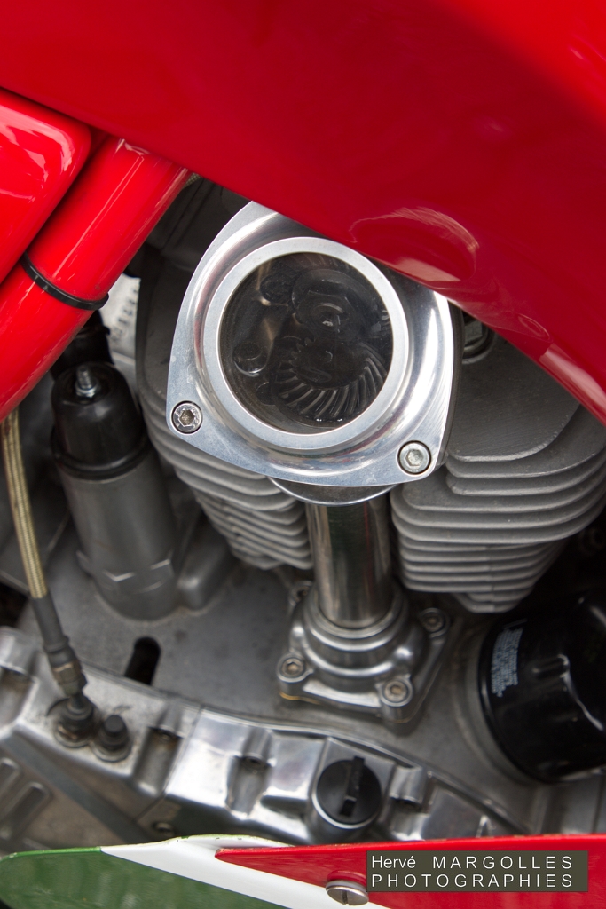 XMoto_04.jpg
