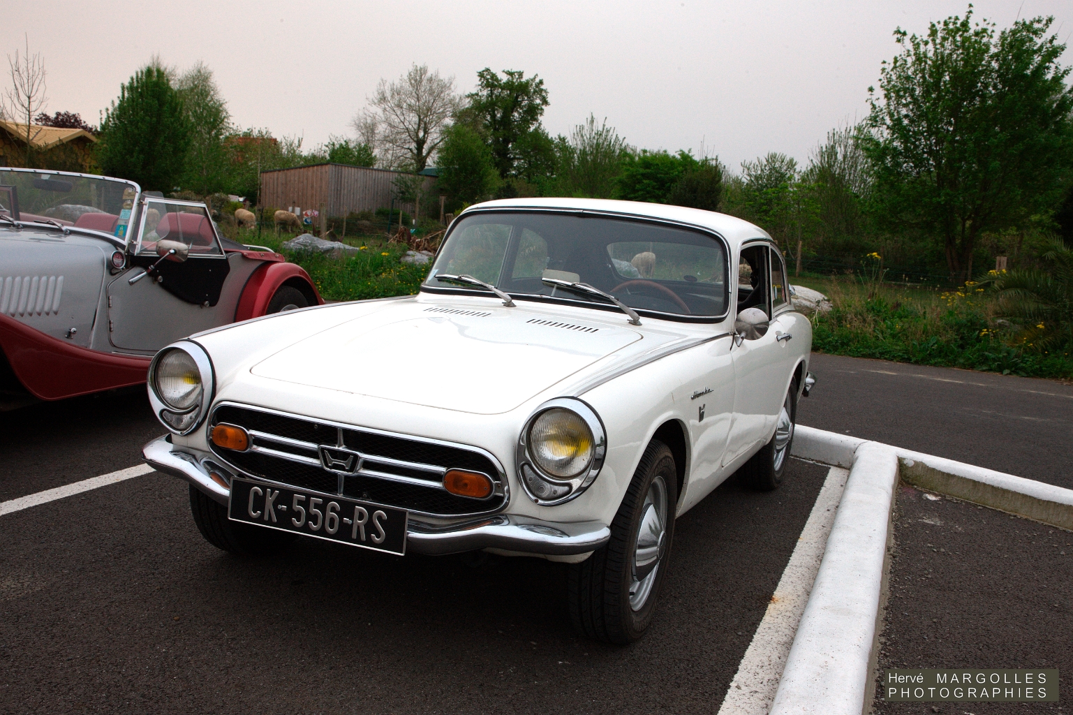 _DS_6217.jpg
