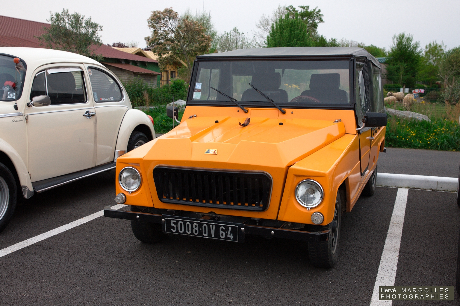 _DS_6218.jpg