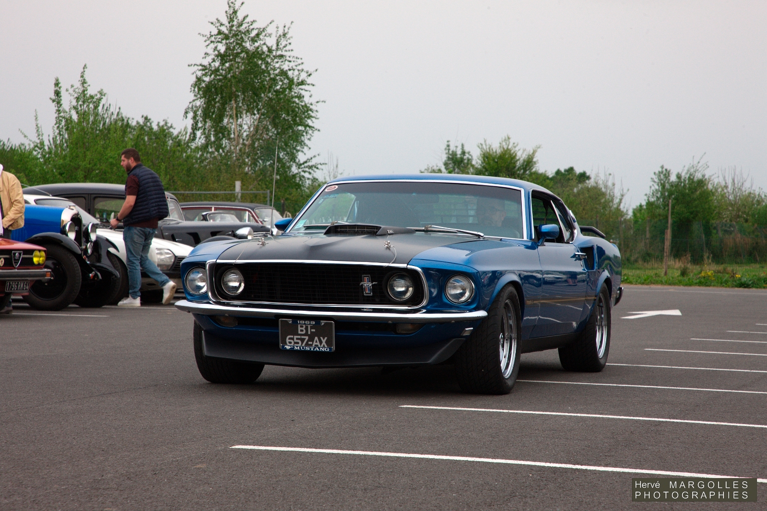 _DS_6231.jpg