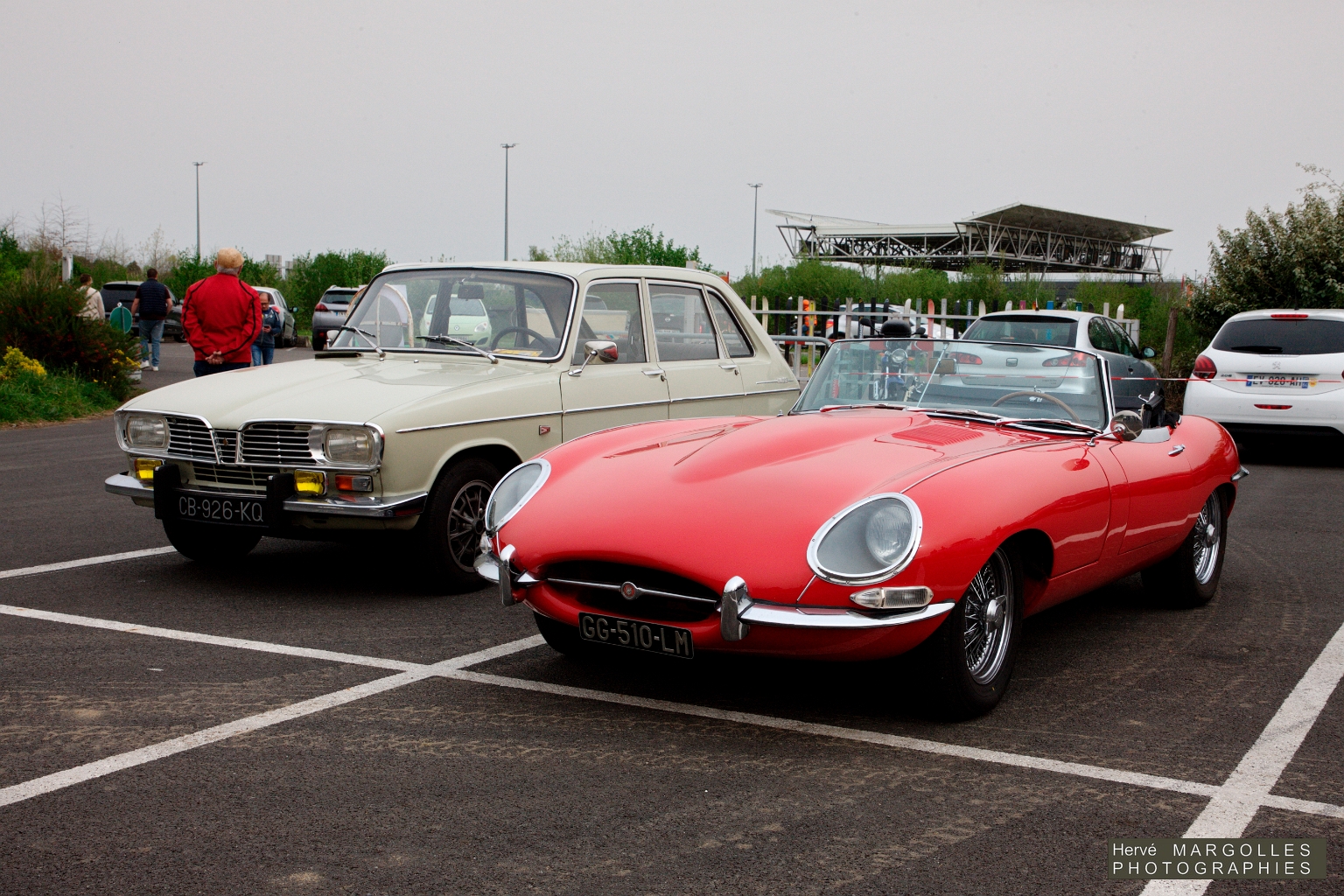 _DS_6232.jpg