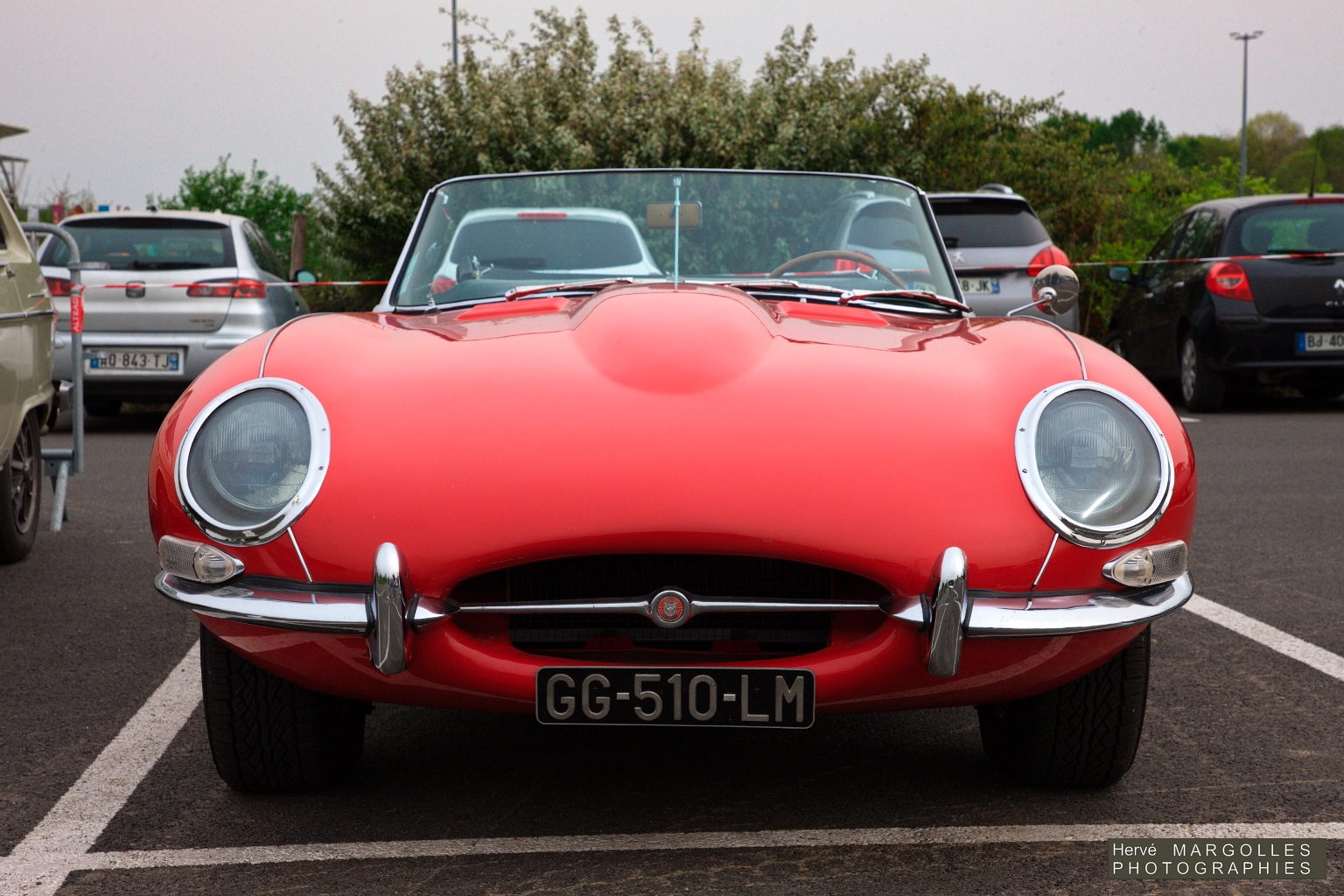 _DS_6233.jpg