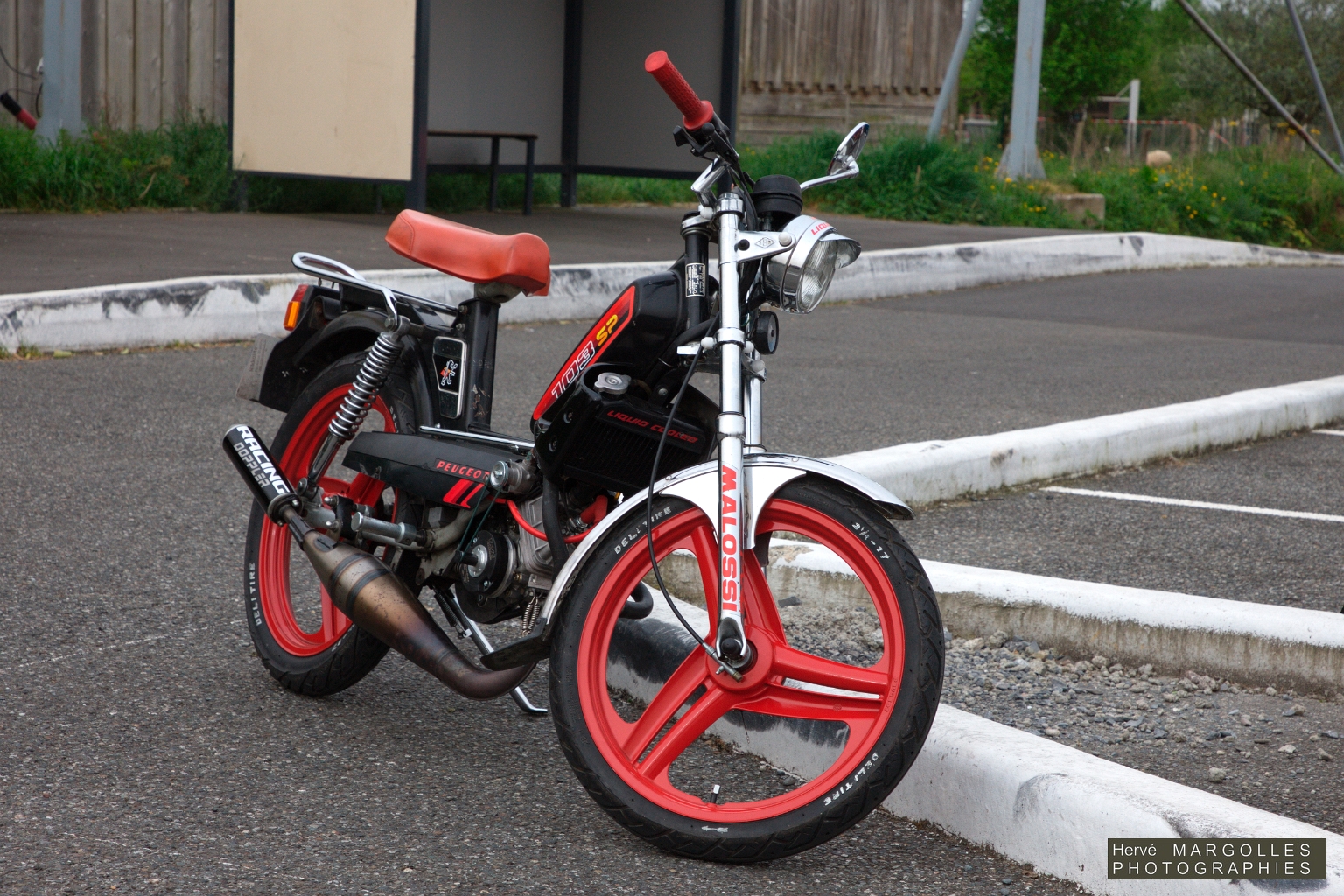 _DS_6240.jpg