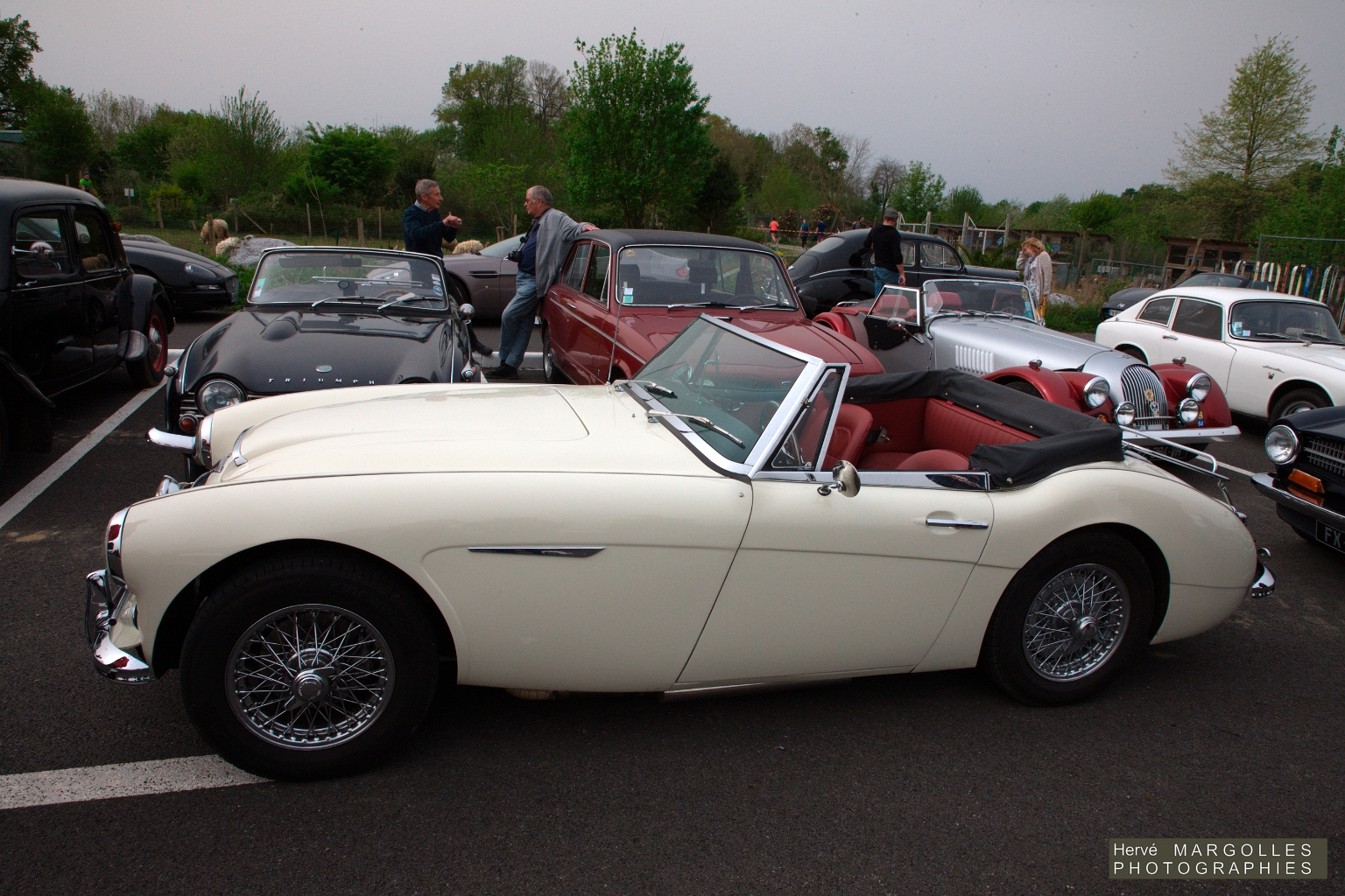 _DS_6247.jpg