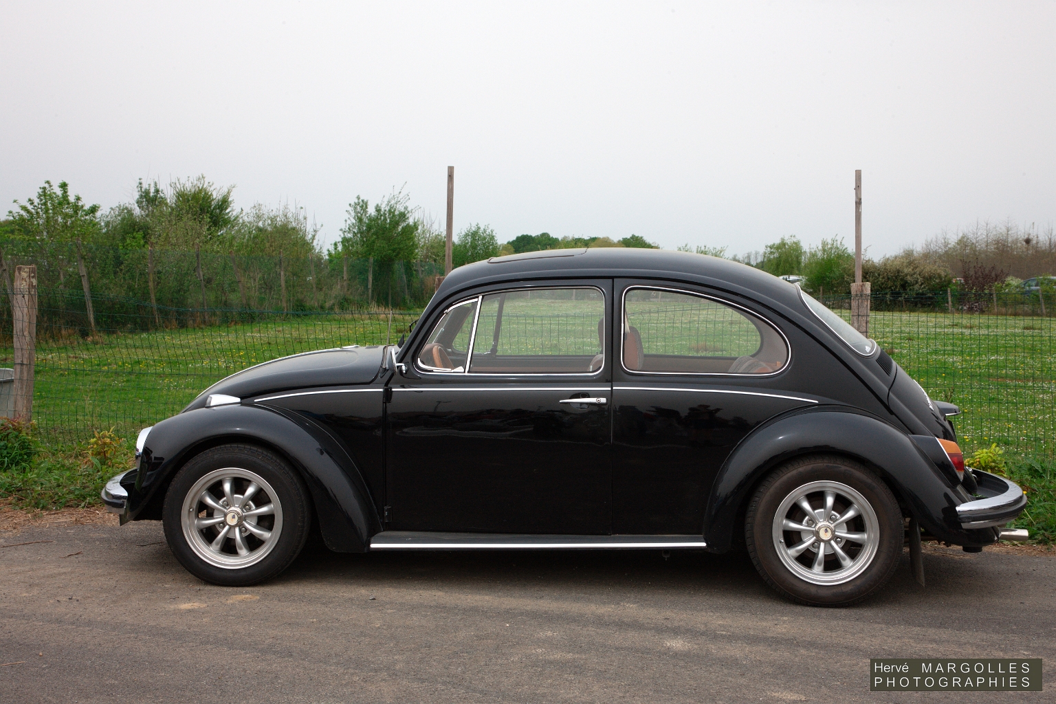 _DS_6261.jpg