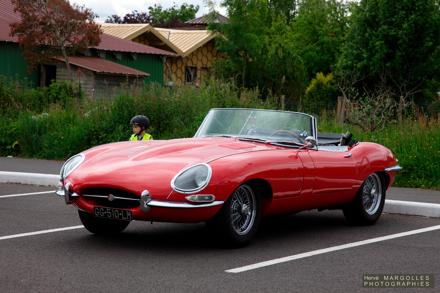 _DS_6971.jpg