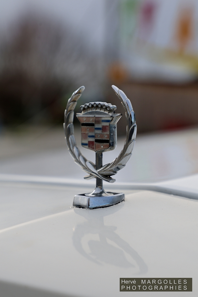Cadillac_03.JPG