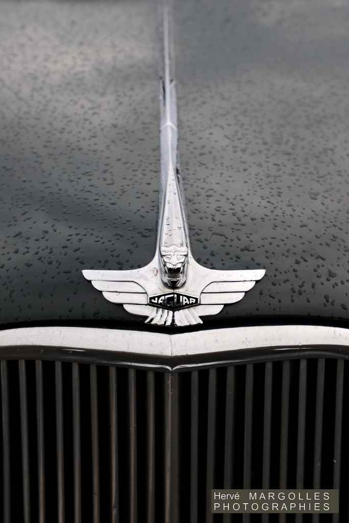 JAGUAR-Mark-VII_02.jpg